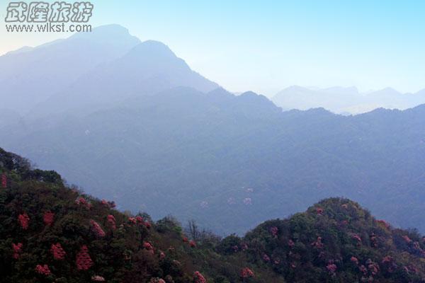 驴行线路——去黄柏凼看杜鹃