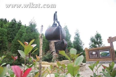 茶山风情